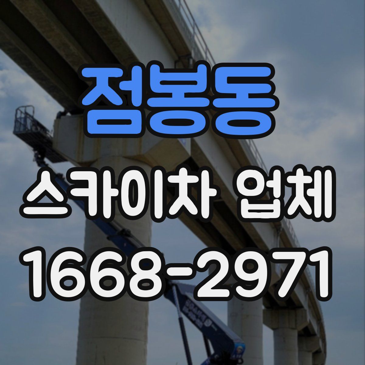 점봉동 스카이차 업체