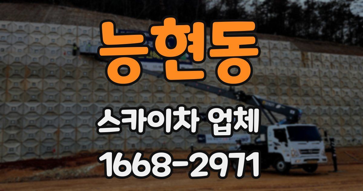 능현동 스카이차 업체