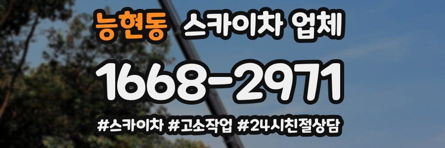능현동 스카이차 업체