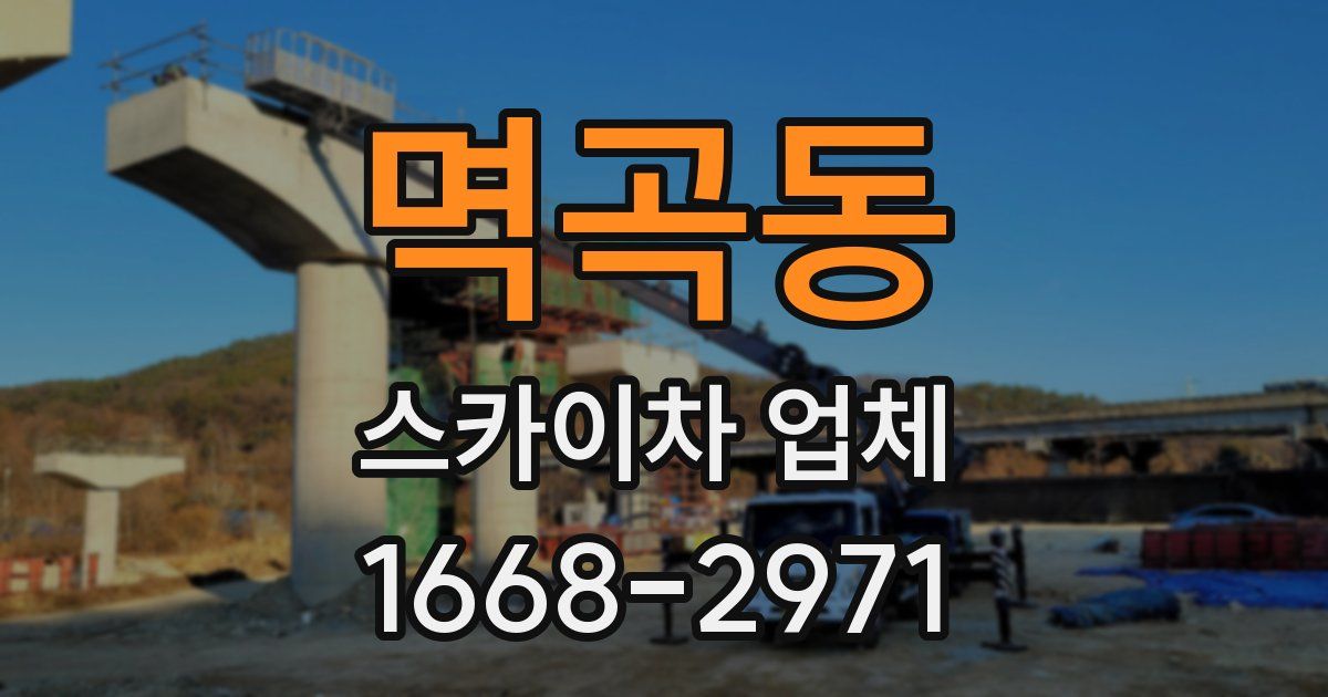 멱곡동 스카이차 업체