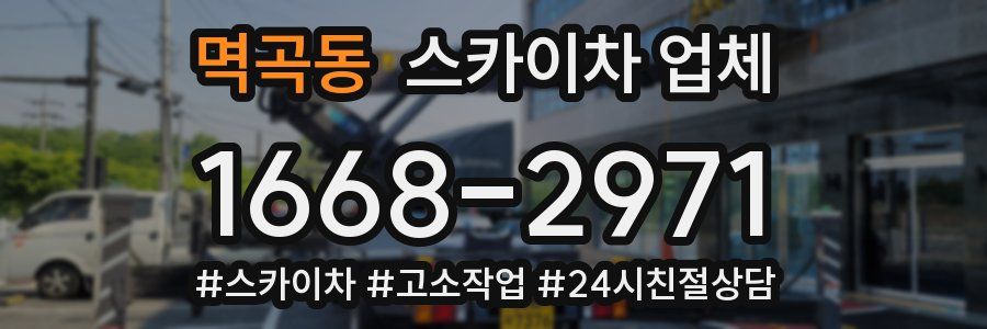 멱곡동 스카이차 업체