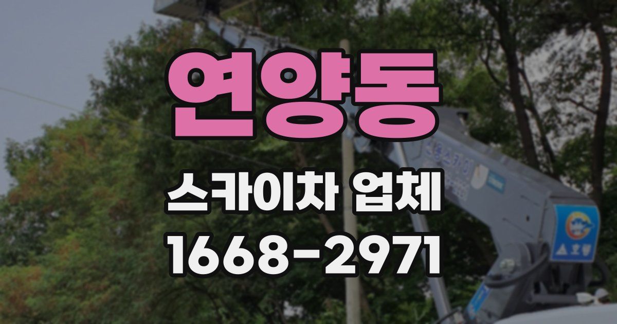연양동 스카이차 업체