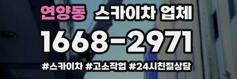 연양동 스카이차 업체