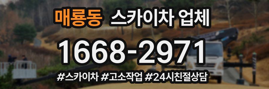 매룡동 스카이차 업체