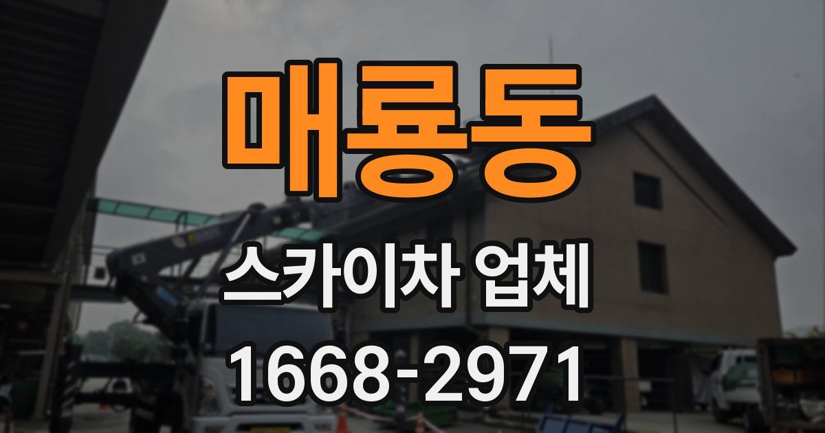 매룡동 스카이차 업체