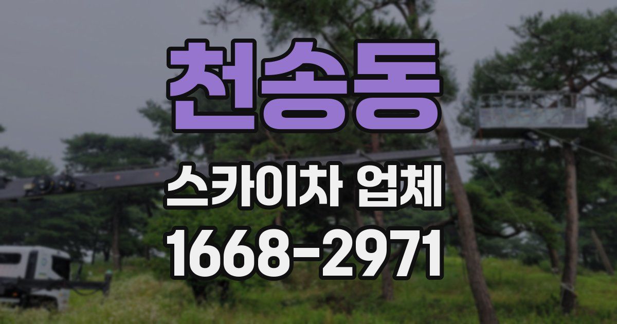 천송동 스카이차 업체