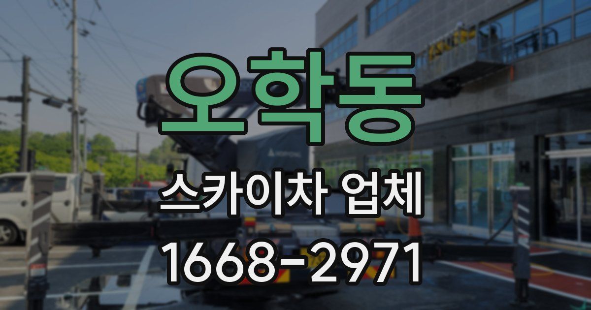 오학동 스카이차 업체