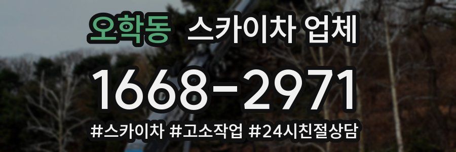 오학동 스카이차 업체