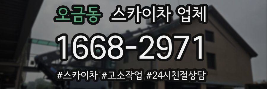 오금동 스카이차 업체