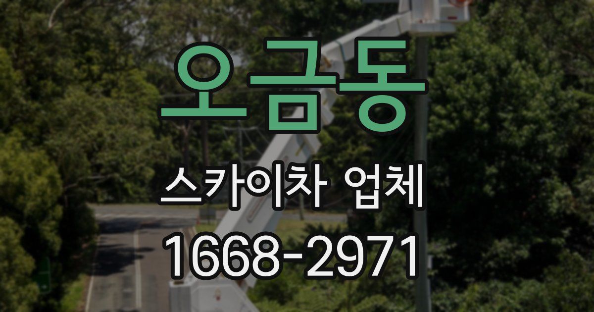 오금동 스카이차 업체