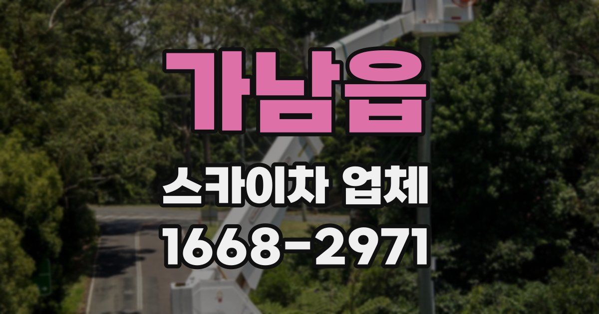 가남읍 스카이차 업체