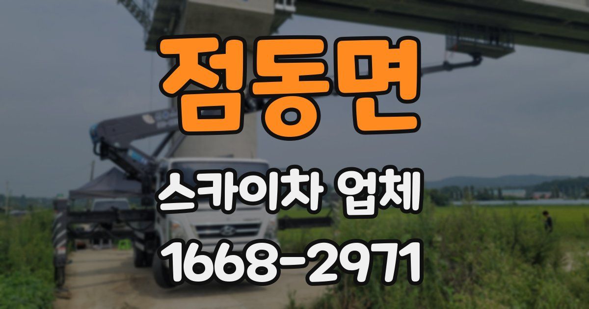점동면 스카이차 업체