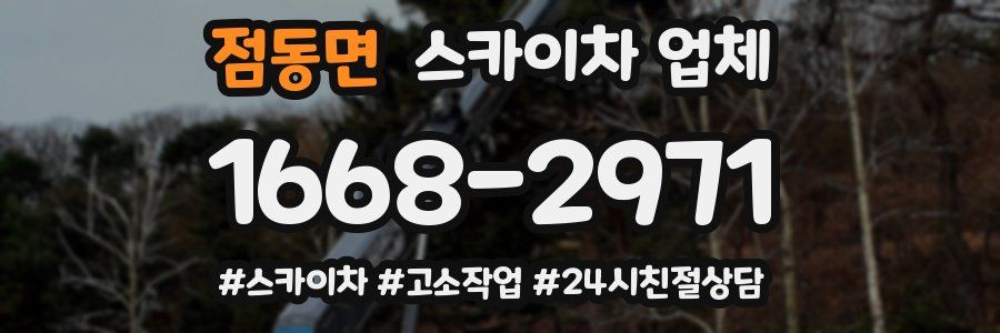 점동면 스카이차 업체