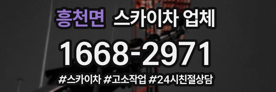 흥천면 스카이차 업체