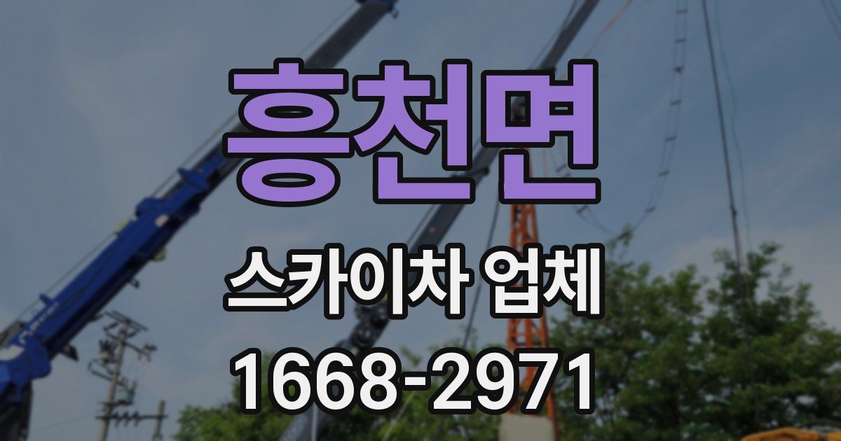 흥천면 스카이차 업체