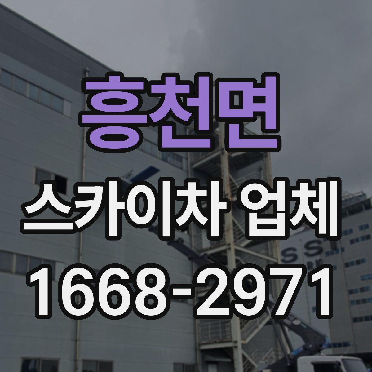 흥천면 스카이차 업체
