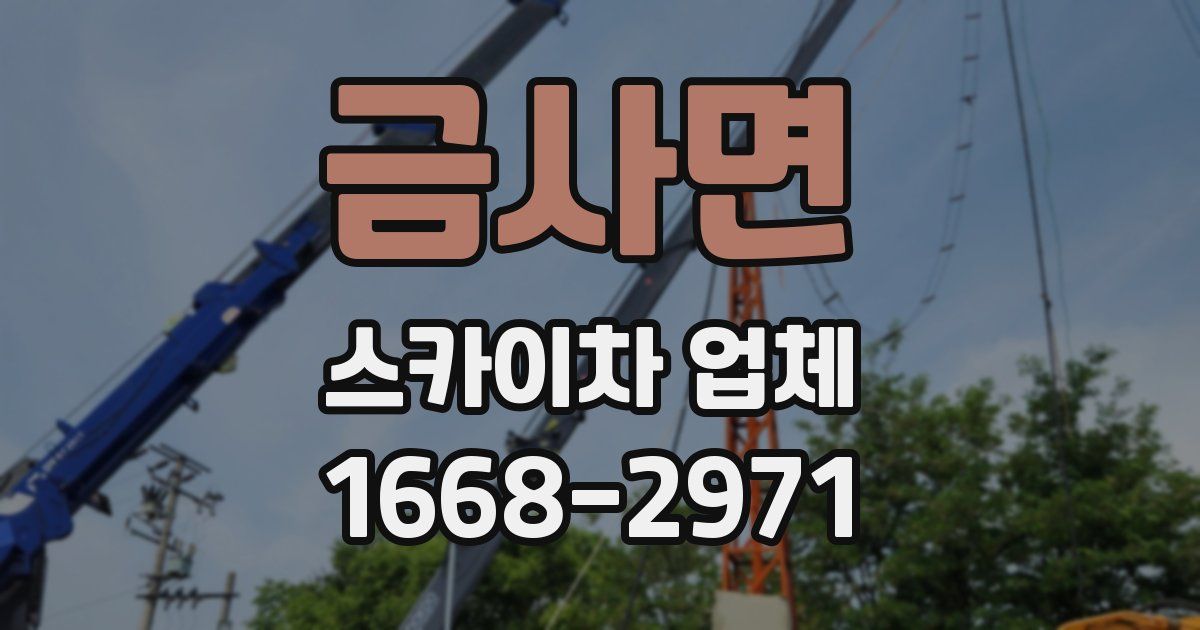 금사면 스카이차 업체