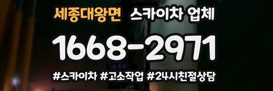 세종대왕면 스카이차 업체