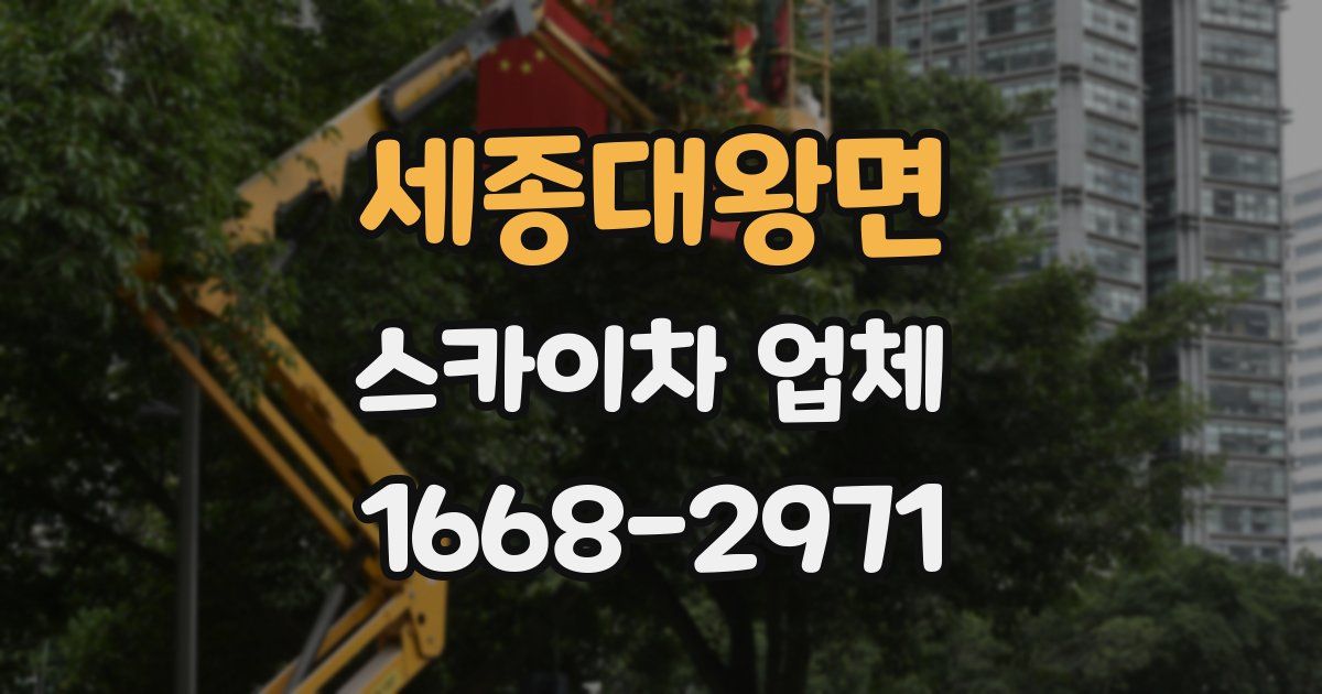세종대왕면 스카이차 업체