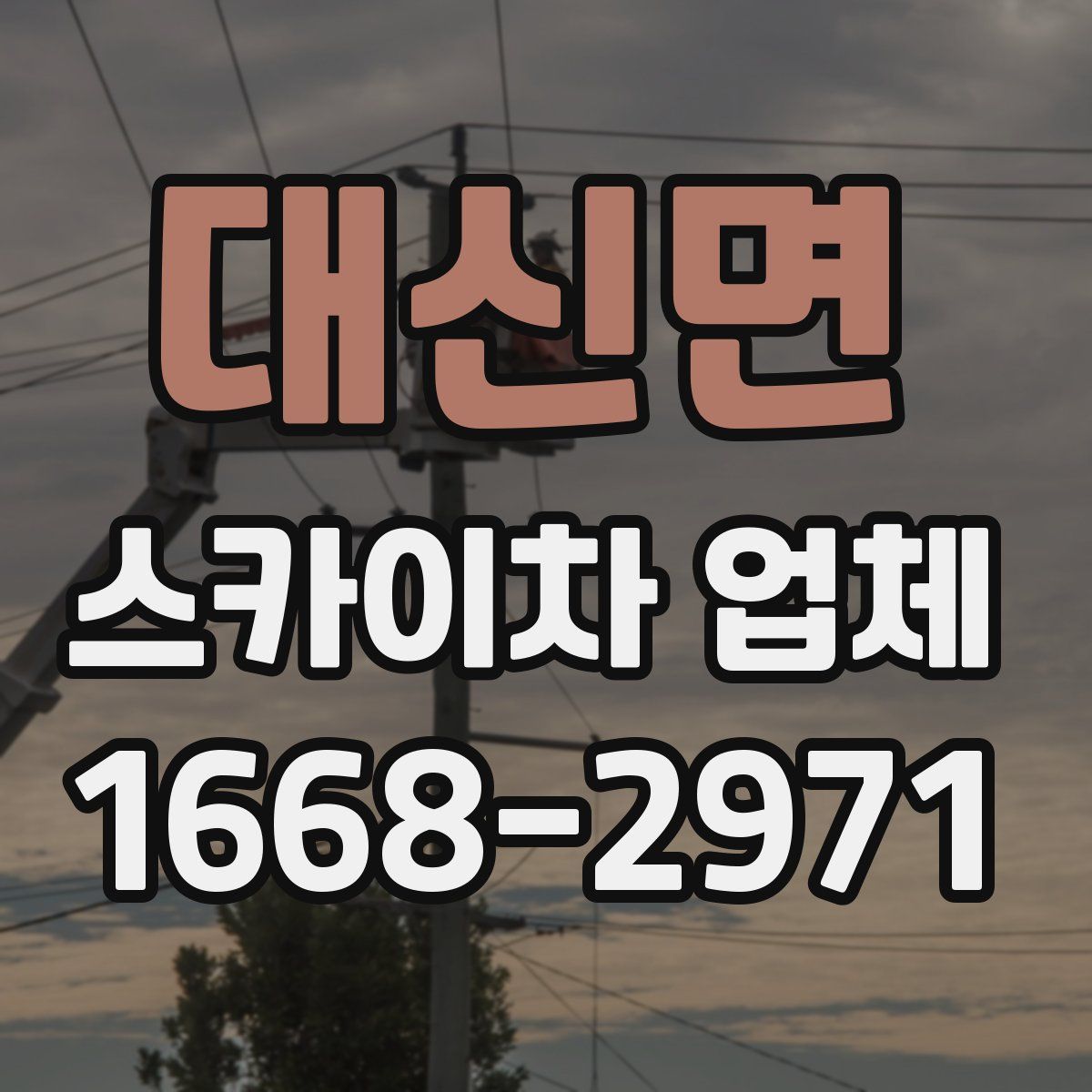 대신면 스카이차 업체