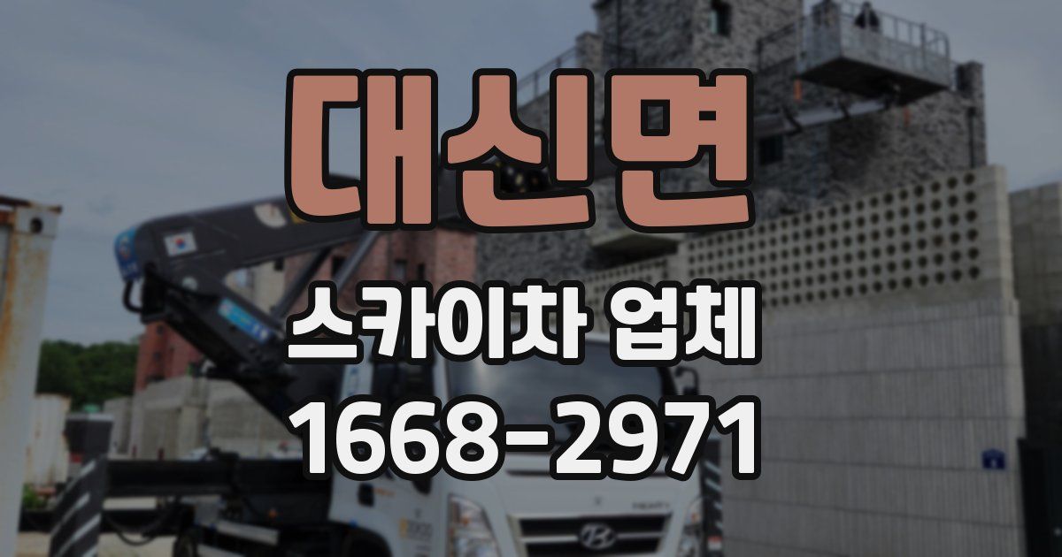 대신면 스카이차 업체