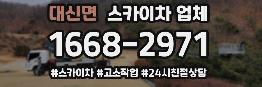 대신면 스카이차 업체