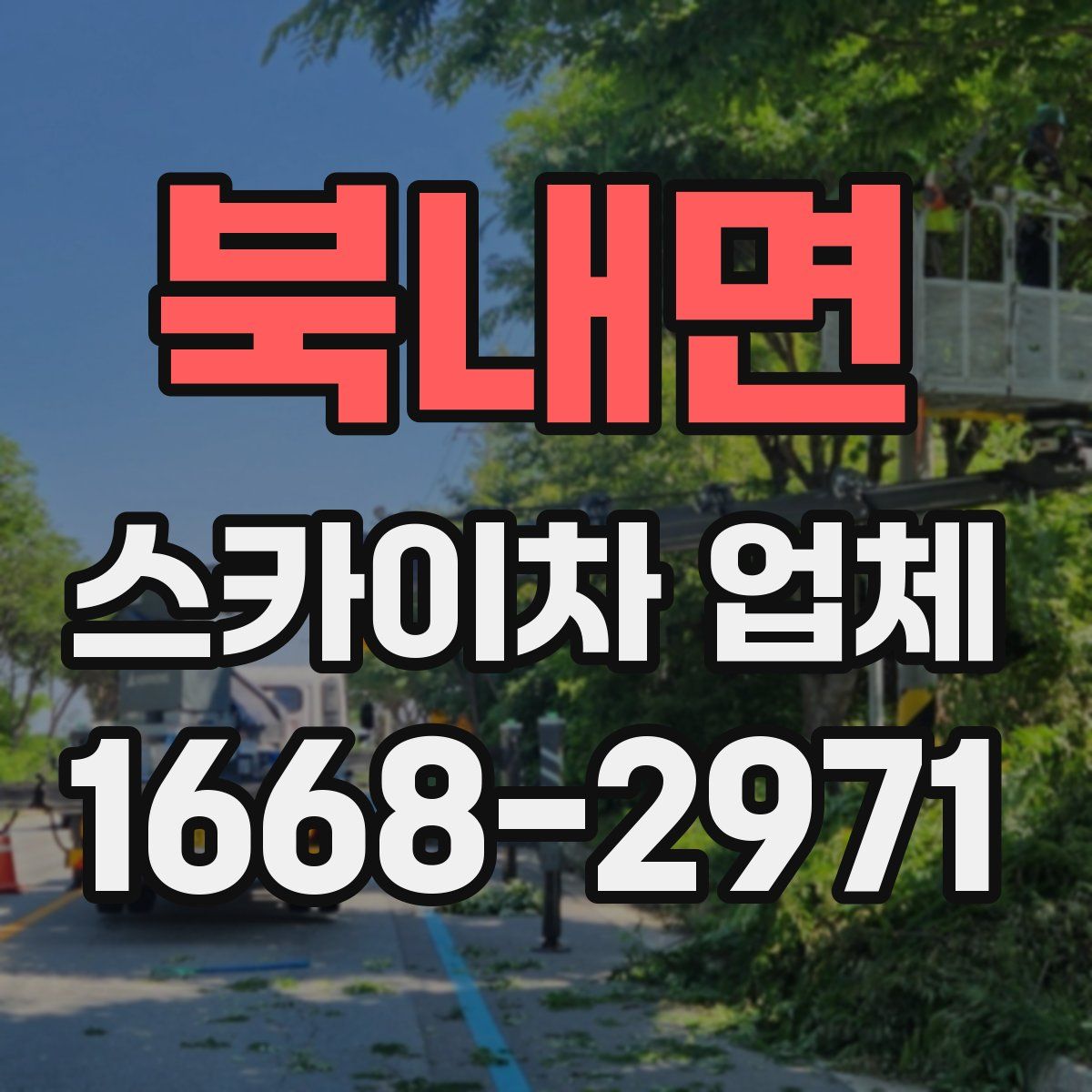 북내면 스카이차 업체