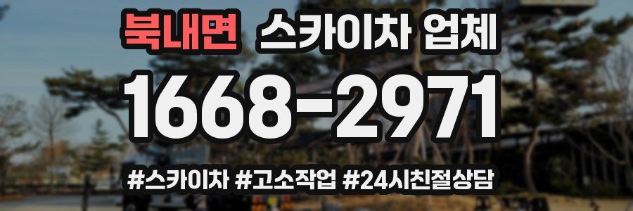 북내면 스카이차 업체