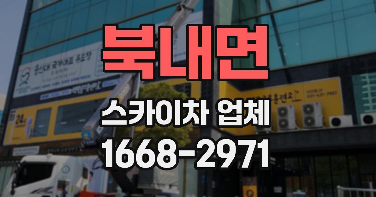 북내면 스카이차 업체