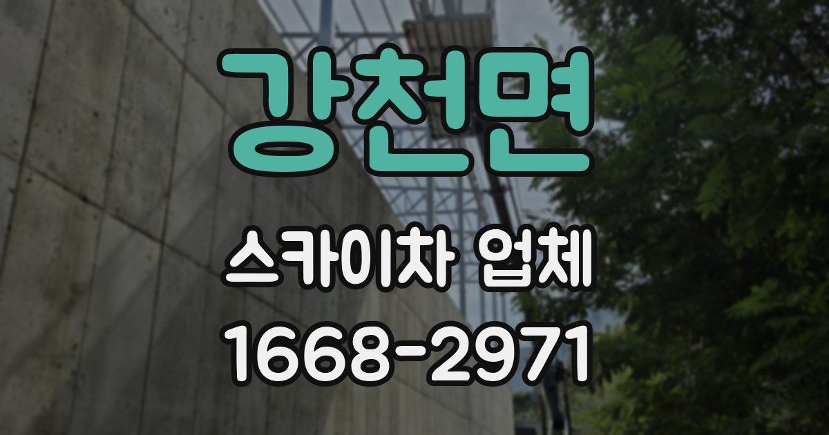 강천면 스카이차 업체