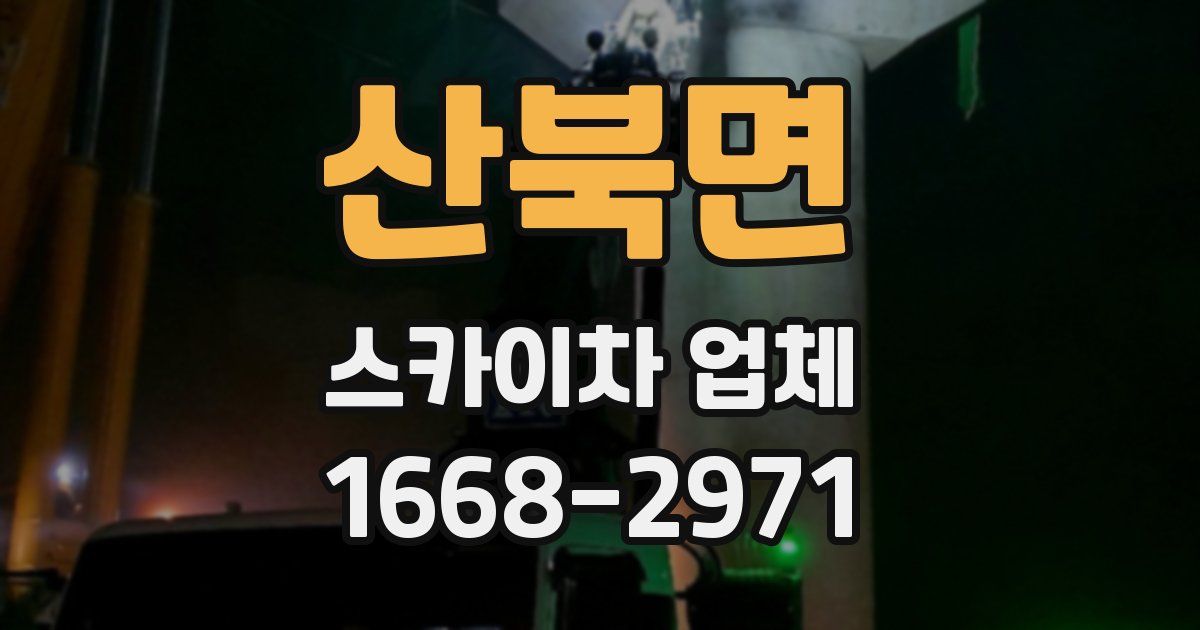 산북면 스카이차 업체
