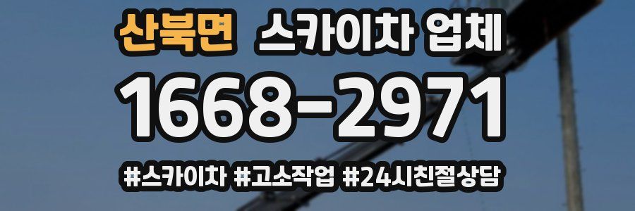 산북면 스카이차 업체