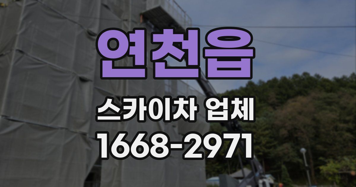 연천읍 스카이차 업체