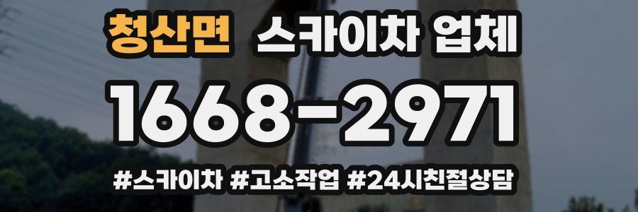 청산면 스카이차 업체