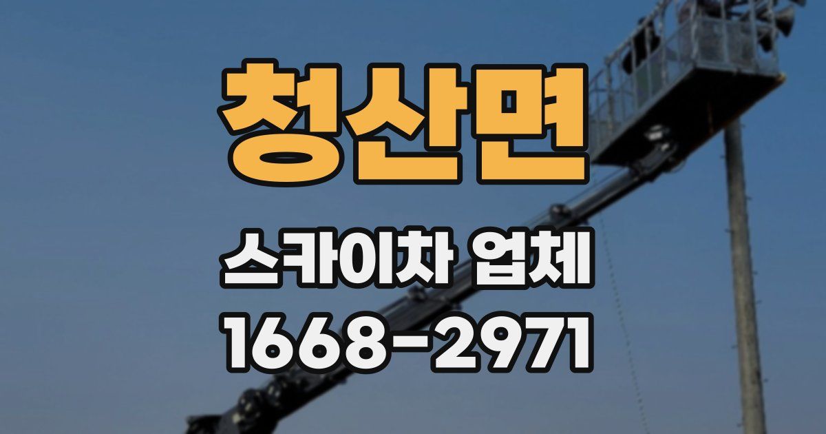 청산면 스카이차 업체