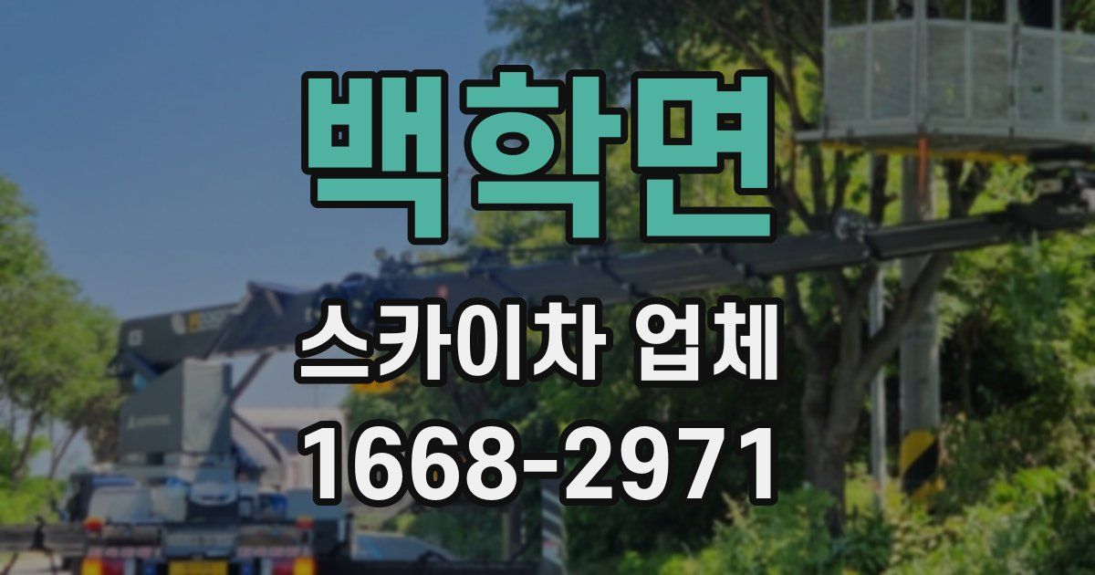 백학면 스카이차 업체