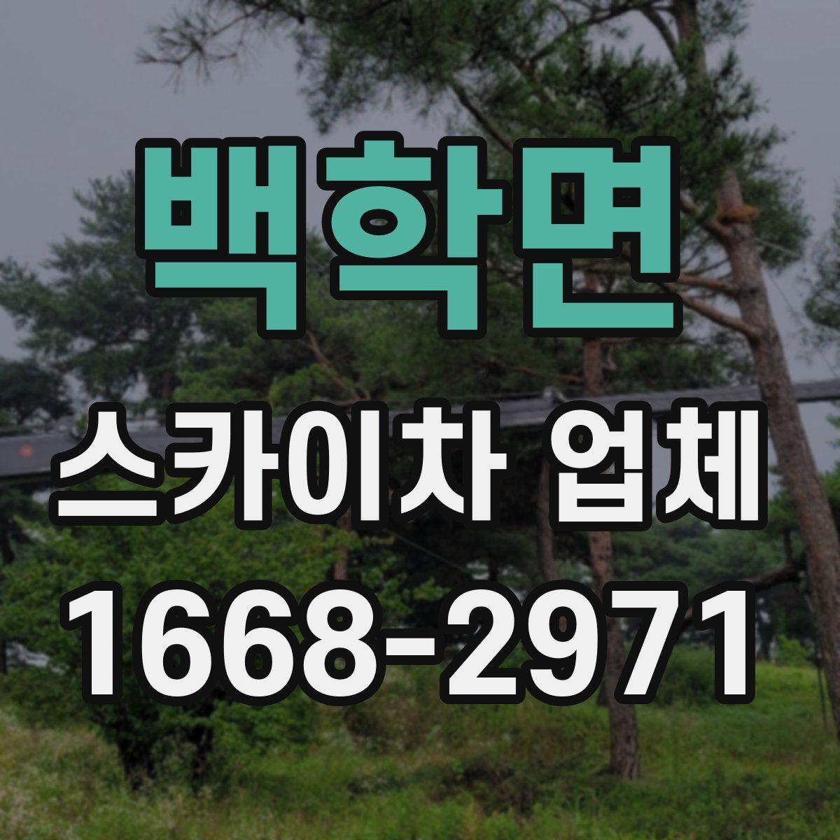 백학면 스카이차 업체