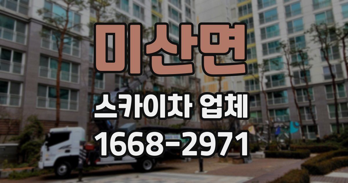 미산면 스카이차 업체