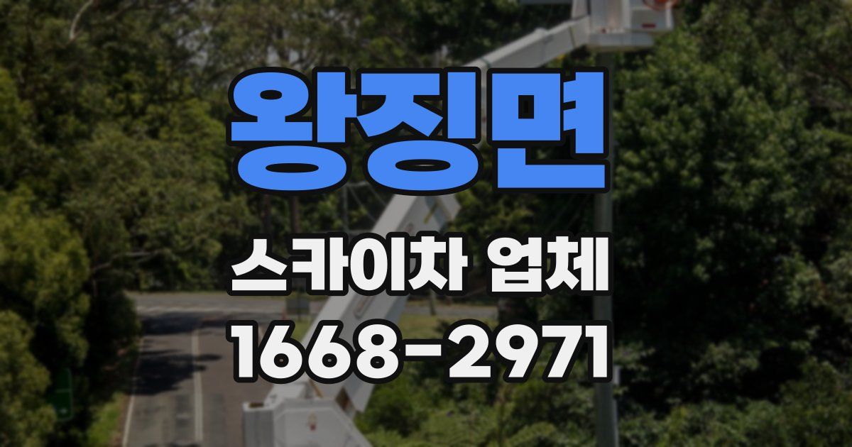 왕징면 스카이차 업체