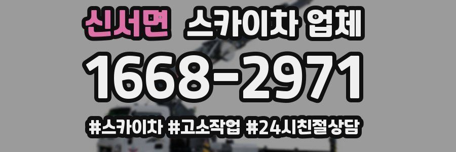 신서면 스카이차 업체