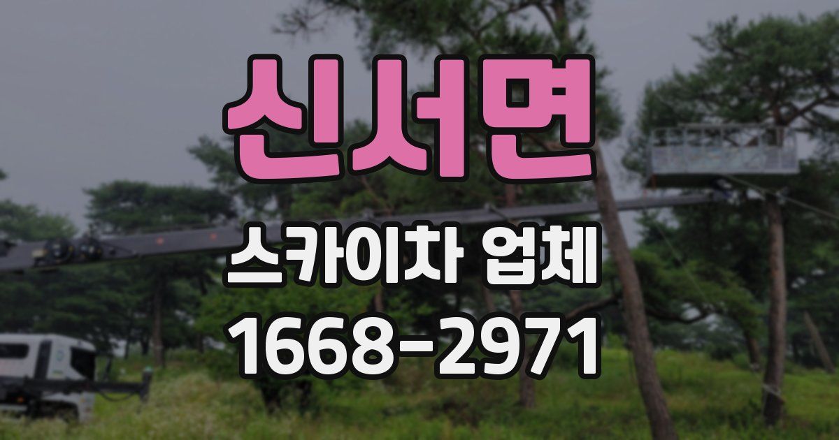 신서면 스카이차 업체
