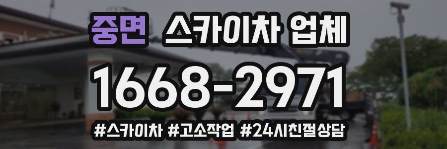 중면 스카이차 업체