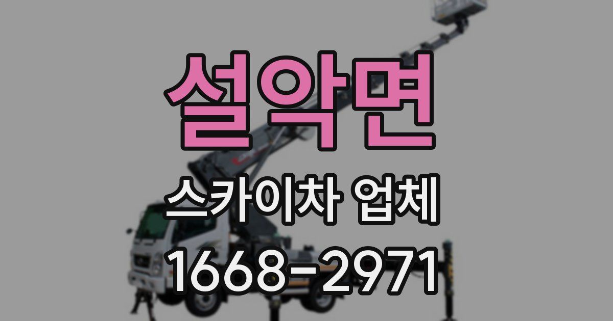 설악면 스카이차 업체
