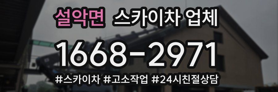 설악면 스카이차 업체
