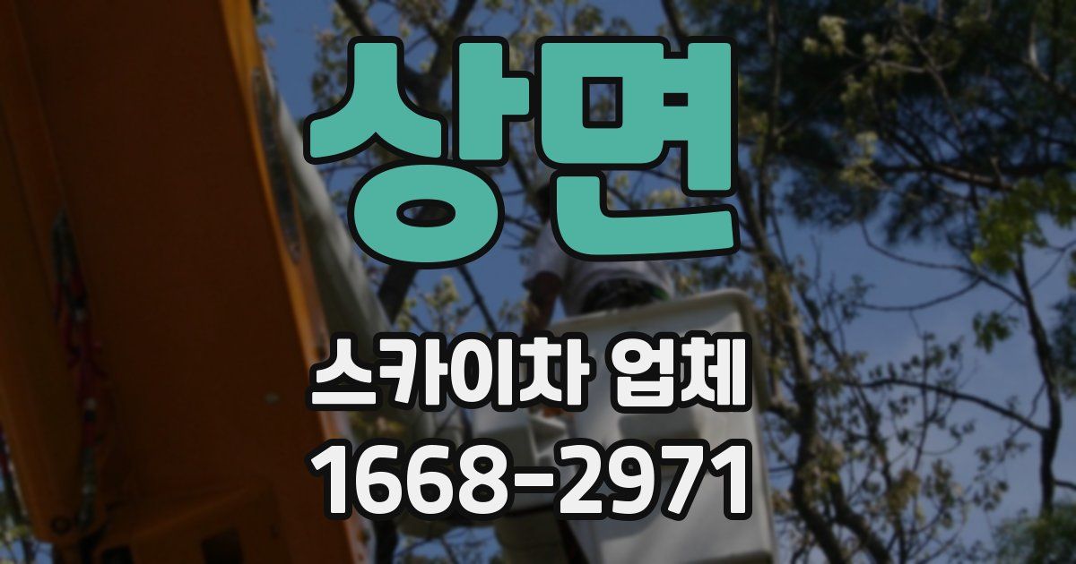 상면 스카이차 업체