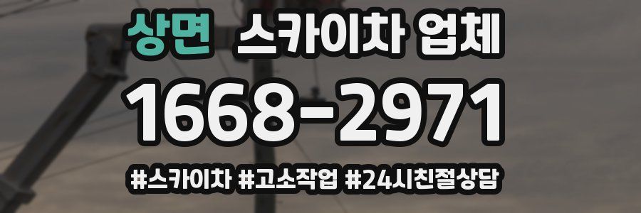 상면 스카이차 업체