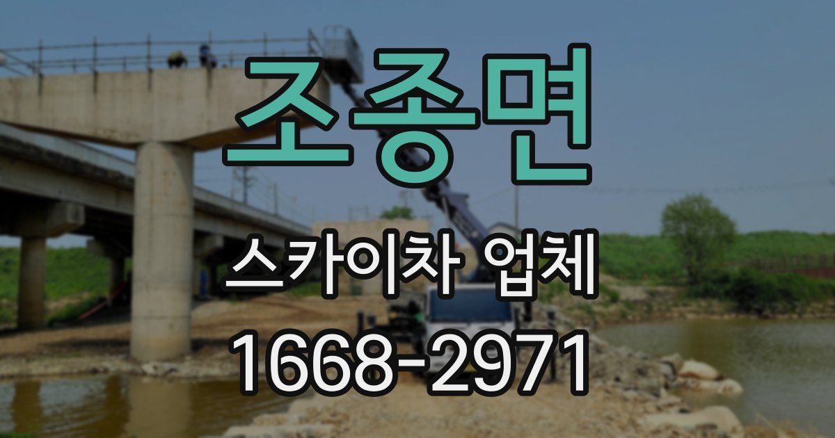 조종면 스카이차 업체