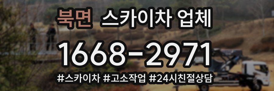 북면 스카이차 업체