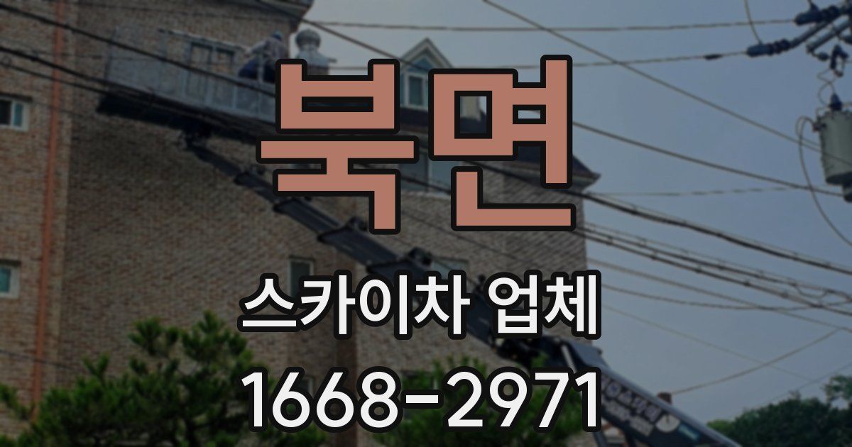 북면 스카이차 업체