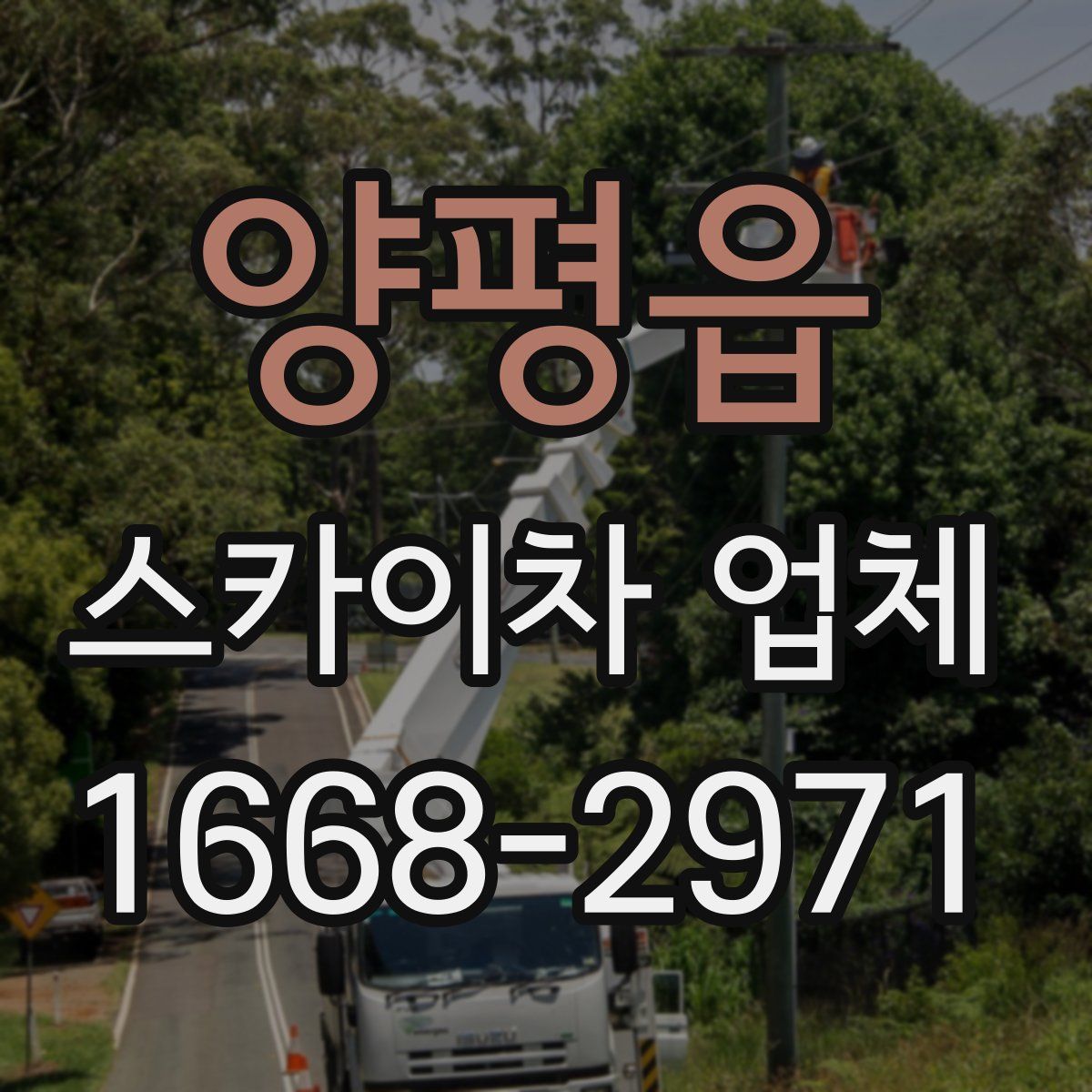 양평읍 스카이차 업체